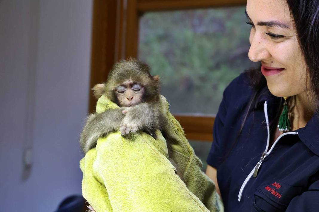 Otobüsle gönderilen koliyi kimse almayınca şoke eden gerçek ortaya çıktı! Hiç kimse bu kadar absürtlüğü tahmin edemezdi 13